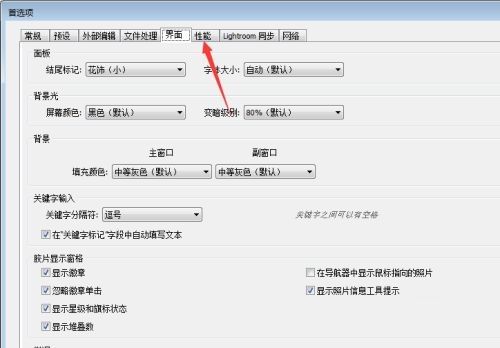Lightroom首选项窗口中性能选项卡被激活的界面展示