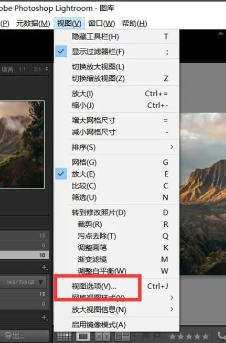 Lightroom视图选项弹出窗口界面截图，清晰标注选项位置