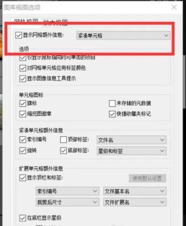 视图选项设置界面中‘显示网格额外信息’已被勾选手动操作截图