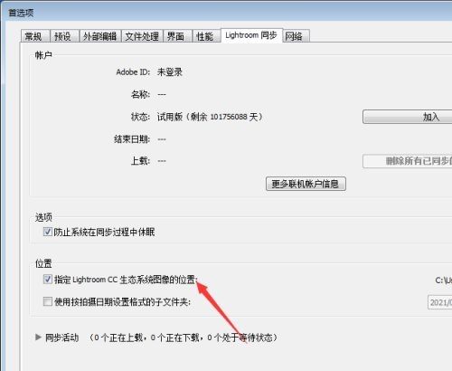 同步设置页面底部，“指定生态系统图像的位置”复选框已被取消勾选，表示功能已关闭