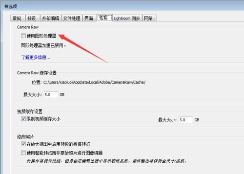 性能设置页面中‘使用图形处理器’选项已被勾选