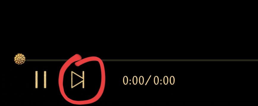 视频播放界面底部出现已观看标识，灰色图标清晰可见，用于判断当前剧情是否为旧路径