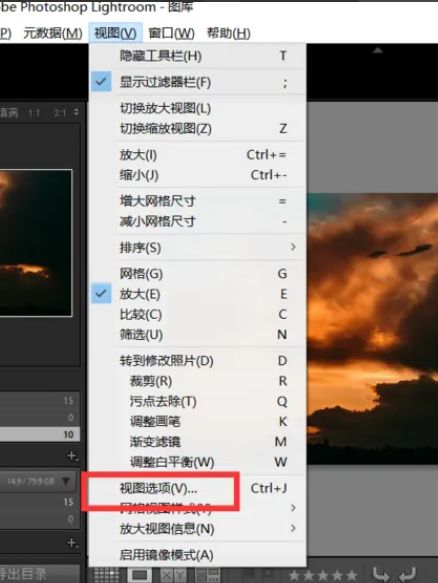 Lightroom‘视图选项’弹窗界面，列表中可见‘单元格图标’设置区域处于高亮状态