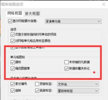 单元格图标设置项详细界面，展示了多种可勾选的图标类型及其预览效果