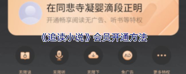 追读小说APP我的页面截图，显示VIP会员入口位置