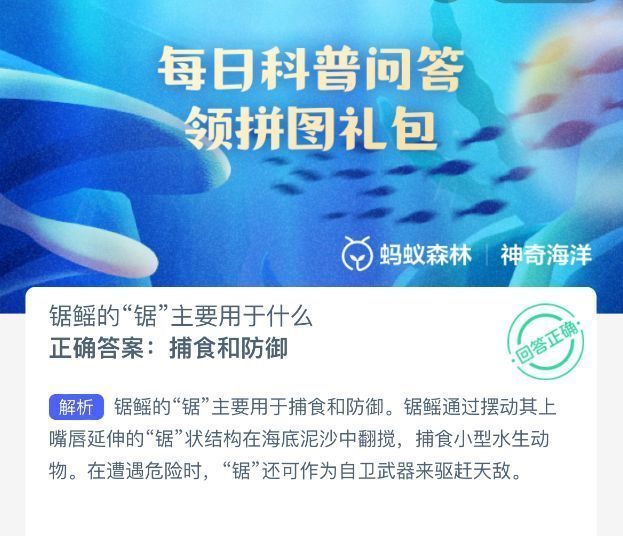锯鳐在海水中游动的示意图，突出其长长的锯状吻部和扁平身体形态