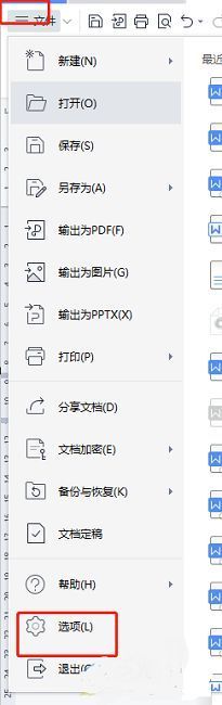WPS文件菜单与选项入口界面展示，左侧为文件标签，右侧显示选项按钮位置