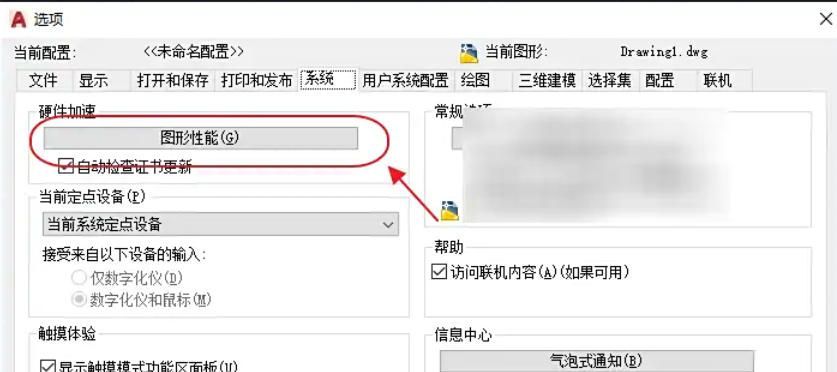 图形性能设置窗口中，‘硬件加速’选项已被勾选，其他渲染选项也清晰可见