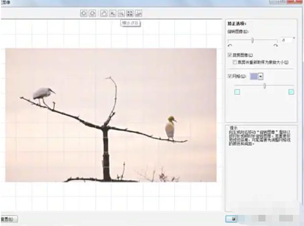 矫正图像对话框界面，显示图片倾斜状态及参数调节区域