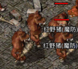 第一阶段战斗画面，战士正在攻击高魔防的红野猪，背景可见飞行的角蝇