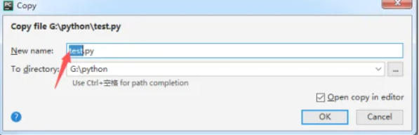 用户在文件名输入框中键入new_file.py