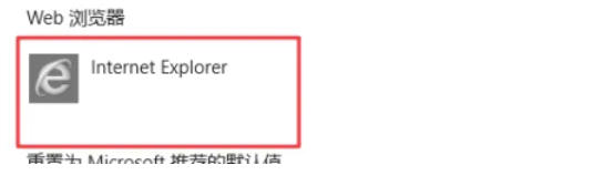 最终验证页面特写，‘Web浏览器’字段旁显示绿色对勾图标与‘Internet Explorer’名称，界面底部有系统提示文字