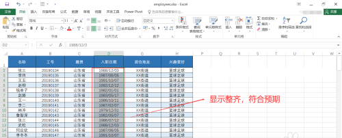 处理后效果对比图，同一张表格中'入职日期'列所有数据均严格显示为'2023/01/05'样式，字符宽度完全一致，整列呈现笔直工整的视觉效果