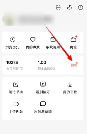 提现页面截图：顶部显示当前可提金币余额与折算金额，中部为三档提现按钮（5元/10元/20元），按钮旁标注‘24小时内到账’‘无需手续费’提示语