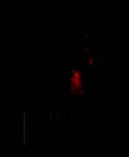 《Trigger of Time》免安装单机版