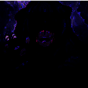 魔女之家mac版 v1.07