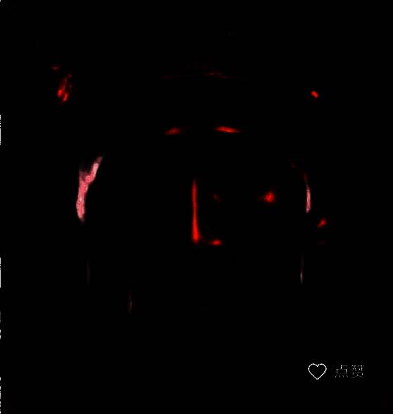 刷刀体质 （免费）永久版 Vrelease-0.3