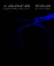 《激光枪战大屠杀》单机中文版