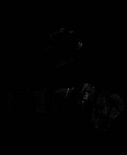 《森林内的恐怖》官方版