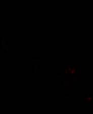 《十年之雨》demo