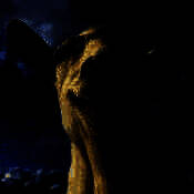 模拟山羊 V2.19.95