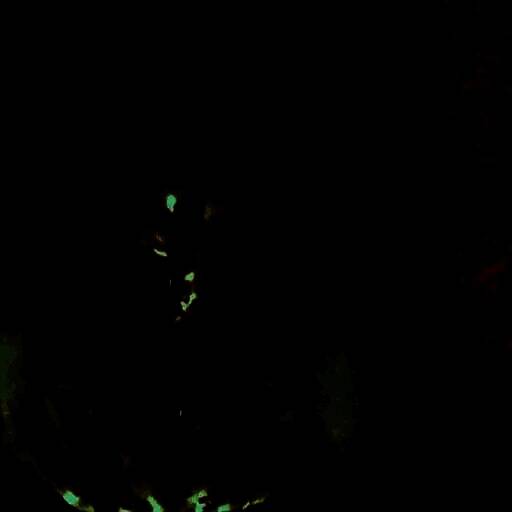 标本零 联机最新版 V1.1.1