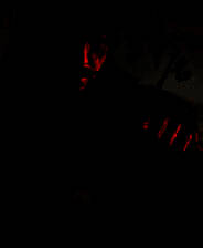 《归唐》游戏库