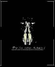 《我的魅魔库库拉》官方版