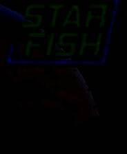 《STAR FISH》demo