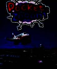 《Pocket and Zooom》demo