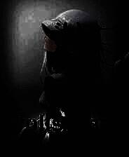 《玩偶之巢》 v1.1.1升级档+未加密补丁[TENOKE]