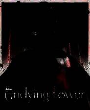 《Undying Flower》官方版