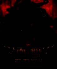 《血盟守卫军 II》电脑版