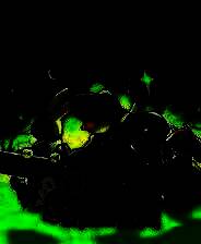 《Duck Detective: The Ghost of Glamping》免安装版