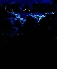 《坦克小队》 v1.0.13升级档+未加密补丁[TENOKE]