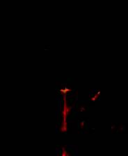 《风暴崛起》v2025.06.19 十七项修改器[3DM]