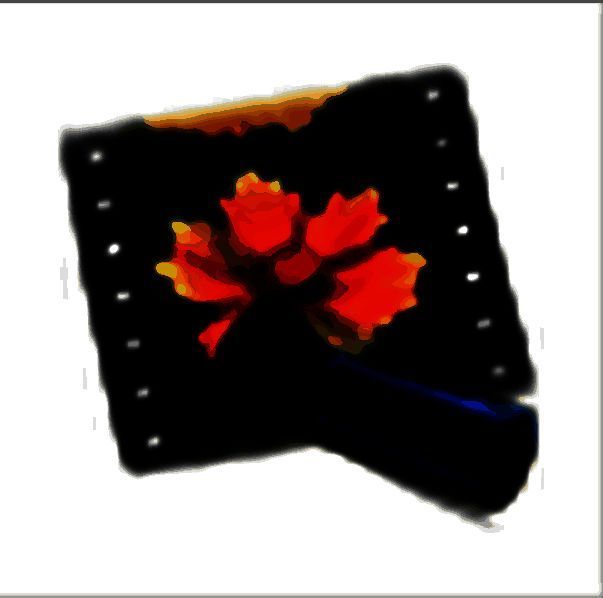 Neat Video Pro汉化版