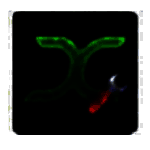 键鼠助手官网版