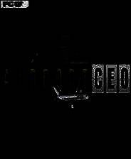 《机场CEO》中文硬盘版