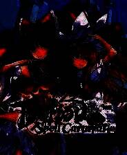 《东方符卡嘉年华》官方版