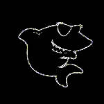 《黑鲨装机大师》官方版