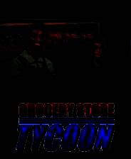 《杂货店大亨》电脑版