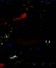 《欢乐农场2》免安装中文版