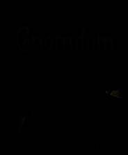 《Gnomdom》免安装汉化版