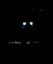 《玩具熊的五夜后宫：需要帮助》免安装中文版