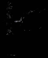 《鬼谷八荒》电脑版