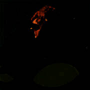 植物大战僵尸指导版 手机版 V1.0