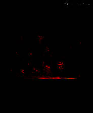 《暴君》中文硬盘版