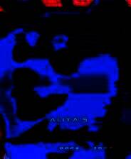 《Aliya's Awakening：DOGE 2042》电脑版