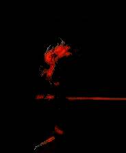 《空洞幸存者》免安装汉化版